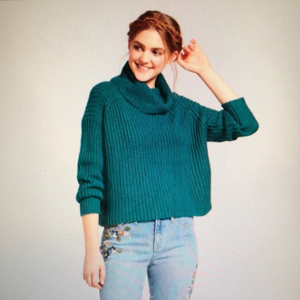 Cropped Turtleneck Sweater